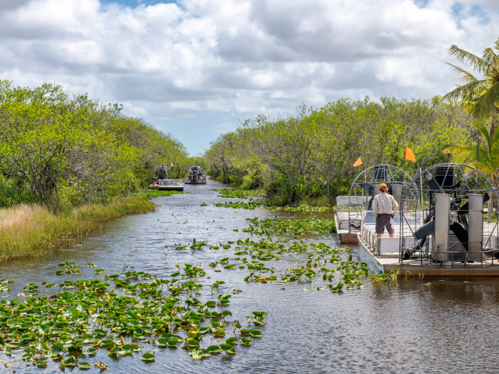 Florida Everglades Airboat Tour