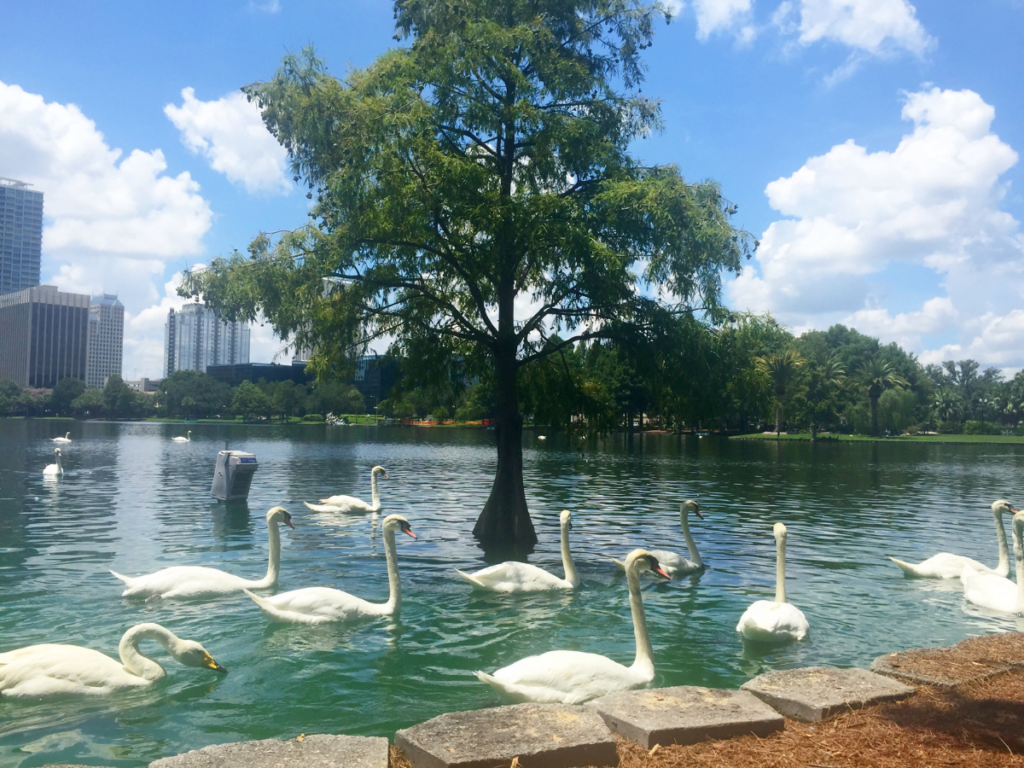 Lake Eola Park Orlando