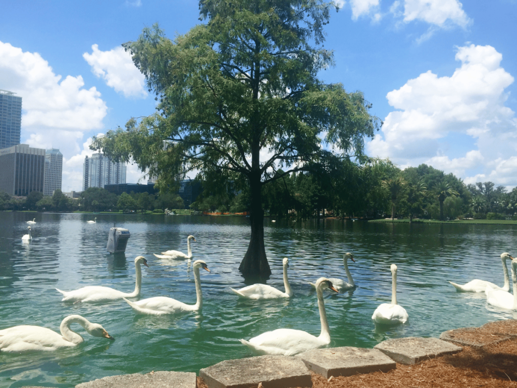 lake eola park