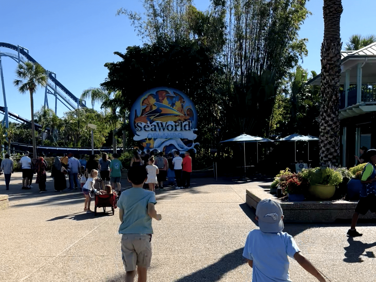 Thrill Seeker's Guide: SeaWorld Orlando Best Rides & Attractions