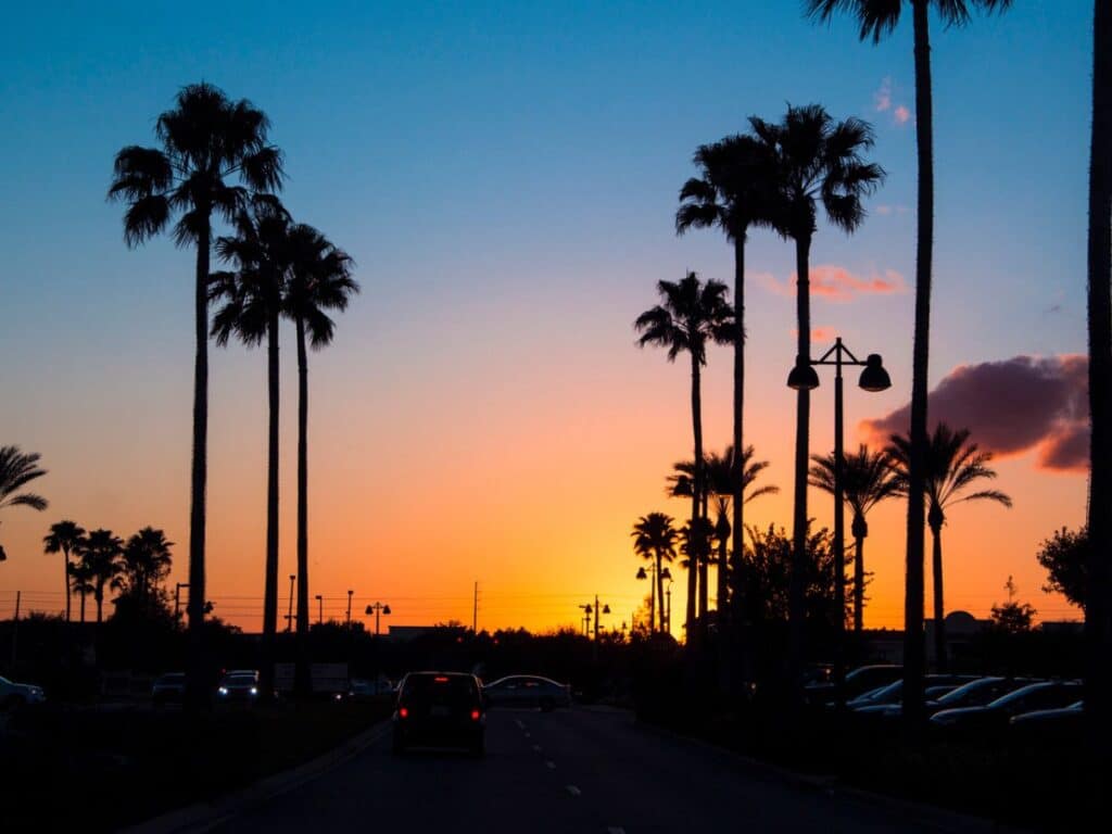 Sunset Walk