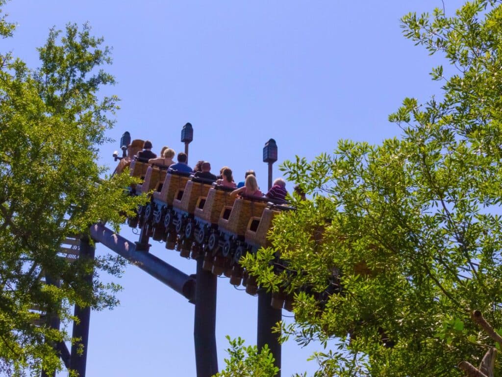 Roller coaster