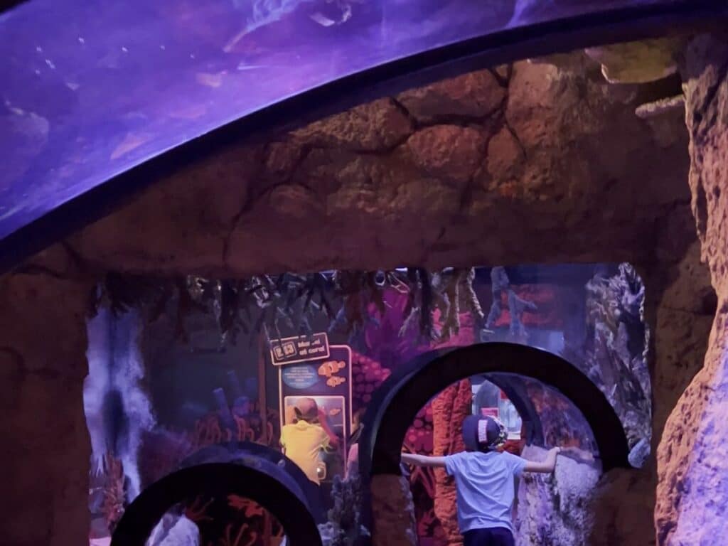 360 Tunnel Sea Life