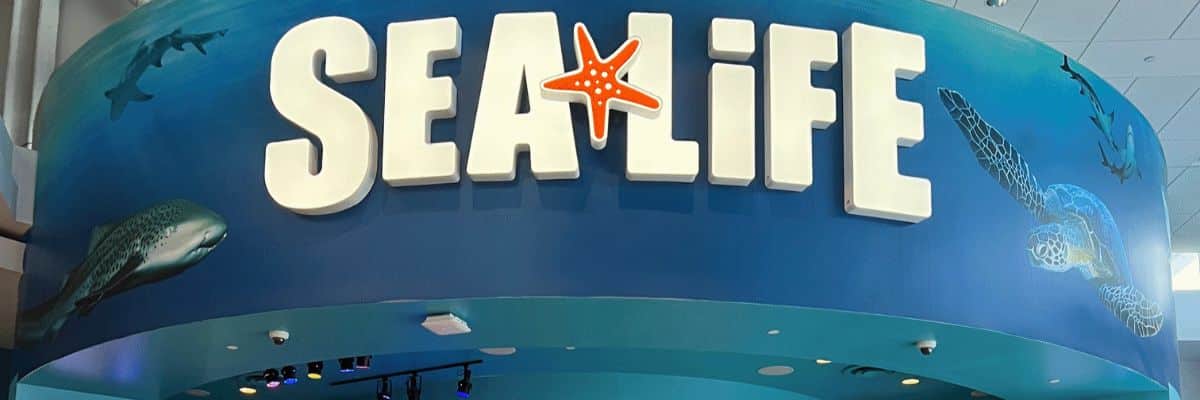 Sea Life Feature Image