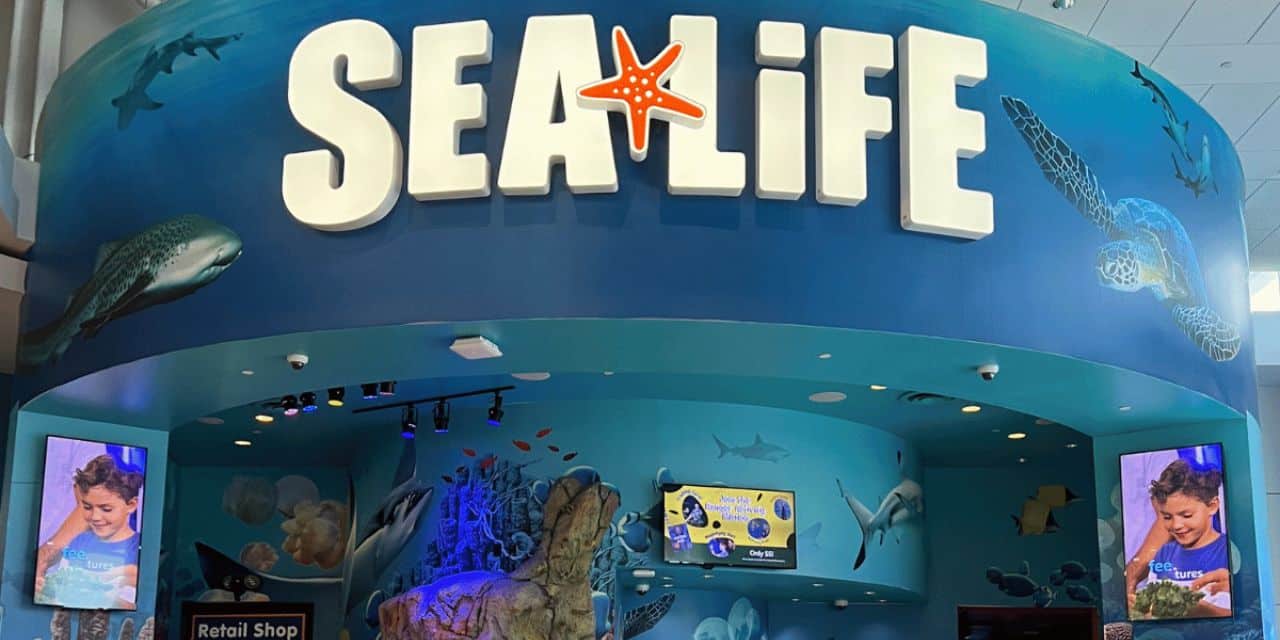Sea Life Preview Image